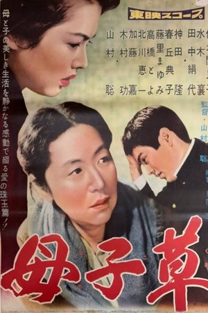 母子草