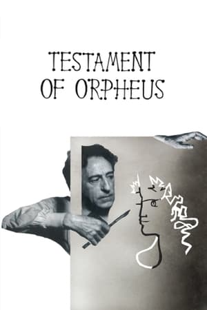 奥菲斯的遗嘱