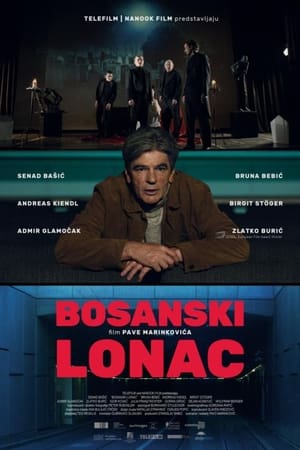 Bosanski lonac