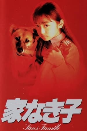无家可归的小孩