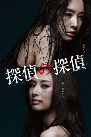 侦探的侦探