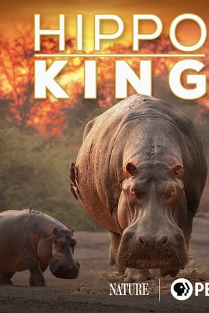 Hippo King