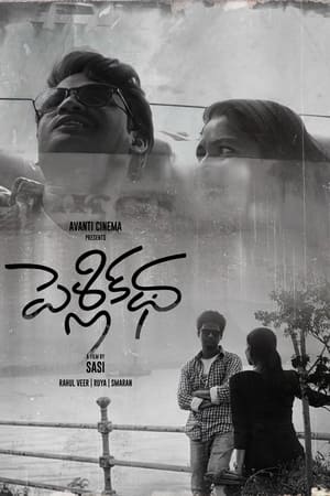 పెళ్లి కధ