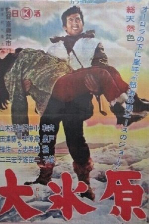 大氷原