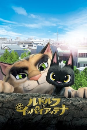 黑猫鲁道夫