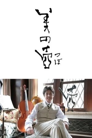 美之壶
