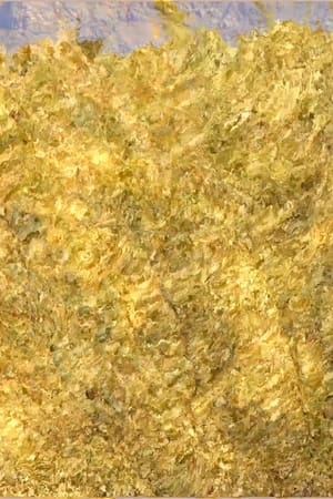 2668-3357 (or, granite, gneiss, glace)