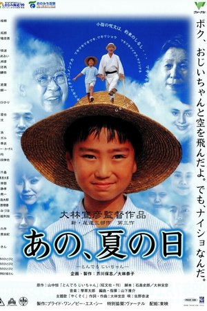 那年夏天