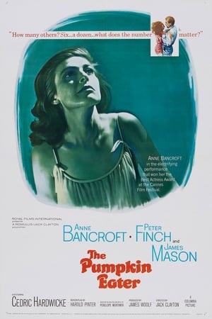 爱撒谎的人
