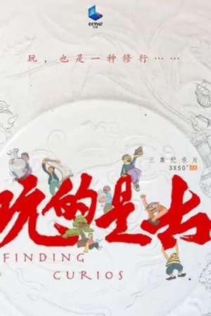 玩的是古