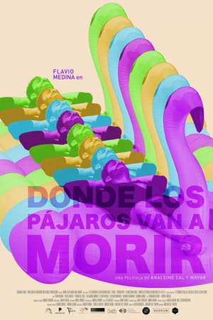 Donde los pájaros van a morir