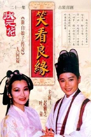 状元花之笑看良缘