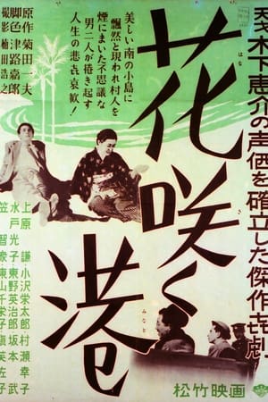 热闹的港口