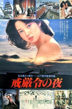 戒严令之夜