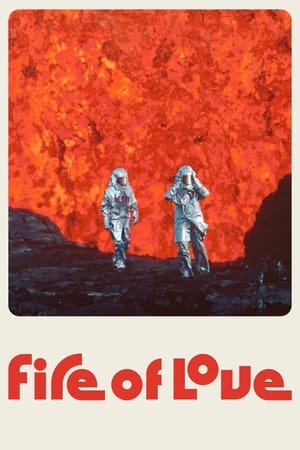 火山挚恋