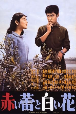 红蕾与白花