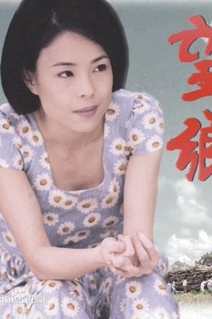 望乡