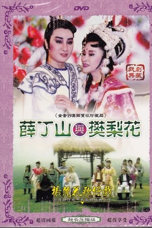 薛丁山与樊梨花