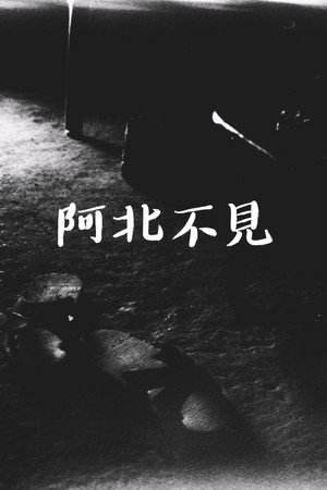 阿北不見