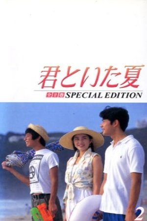 某年夏天