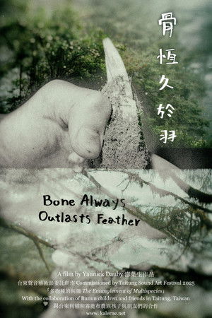 骨恆久於羽