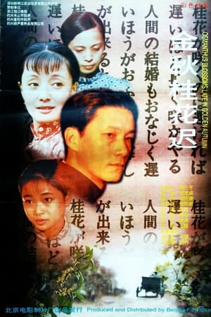 金秋桂花迟