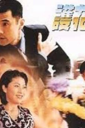 護花驚情