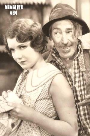 编号的人