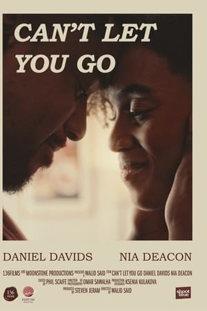 Can't Let You Go