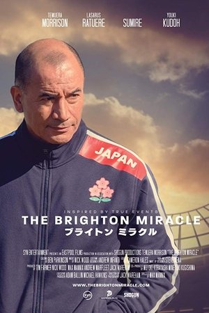布莱顿奇迹