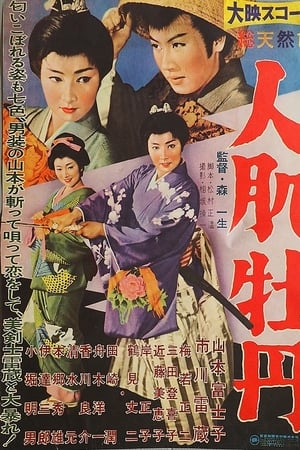 人肌牡丹