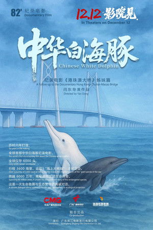 中华白海豚