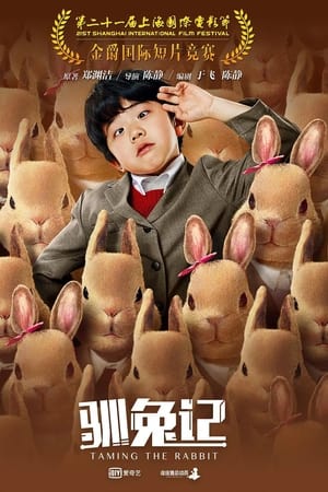 驯兔记