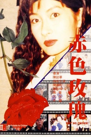 赤色玫瑰