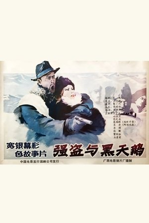强盗与黑天鹅
