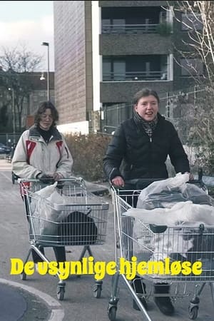 De usynlige hjemløse