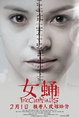女蛹