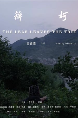 辞柯