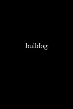 Bulldog
