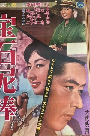 宝石泥棒