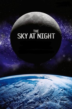 仰望夜空
