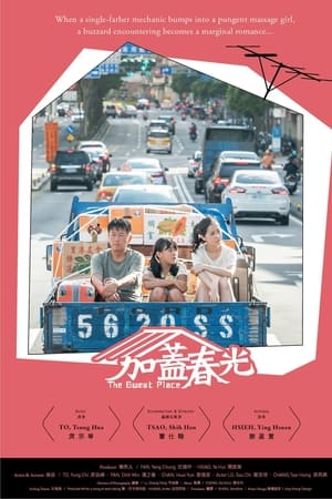 加盖春光