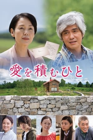积爱之人