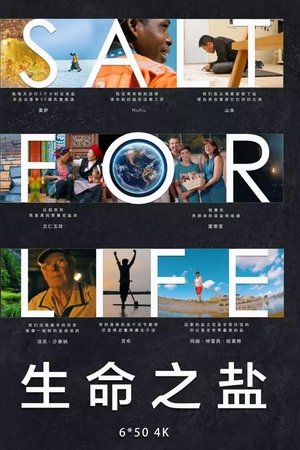 生命之盐