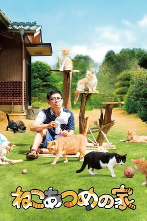 猫咪后院之家