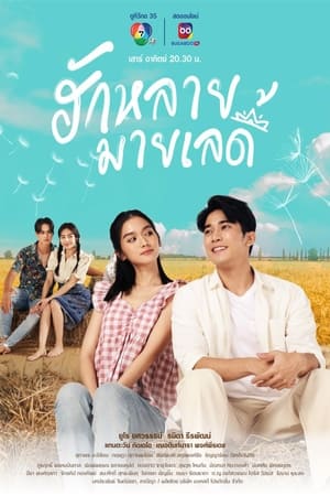 ฮักหลายมายเลดี้
