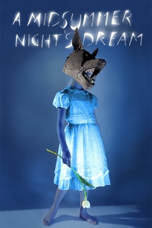仲夏夜之梦