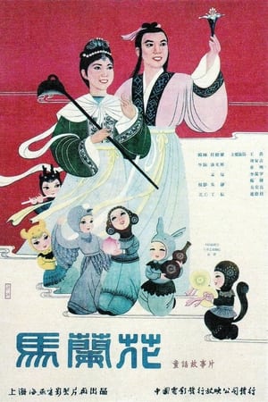 马兰花