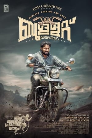 Bullet Diaries