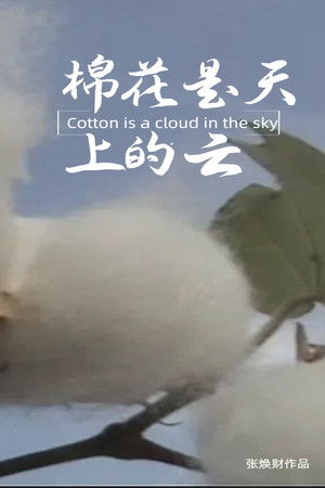 棉花是天上的云